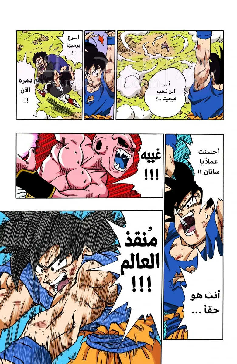 الصفحة 3