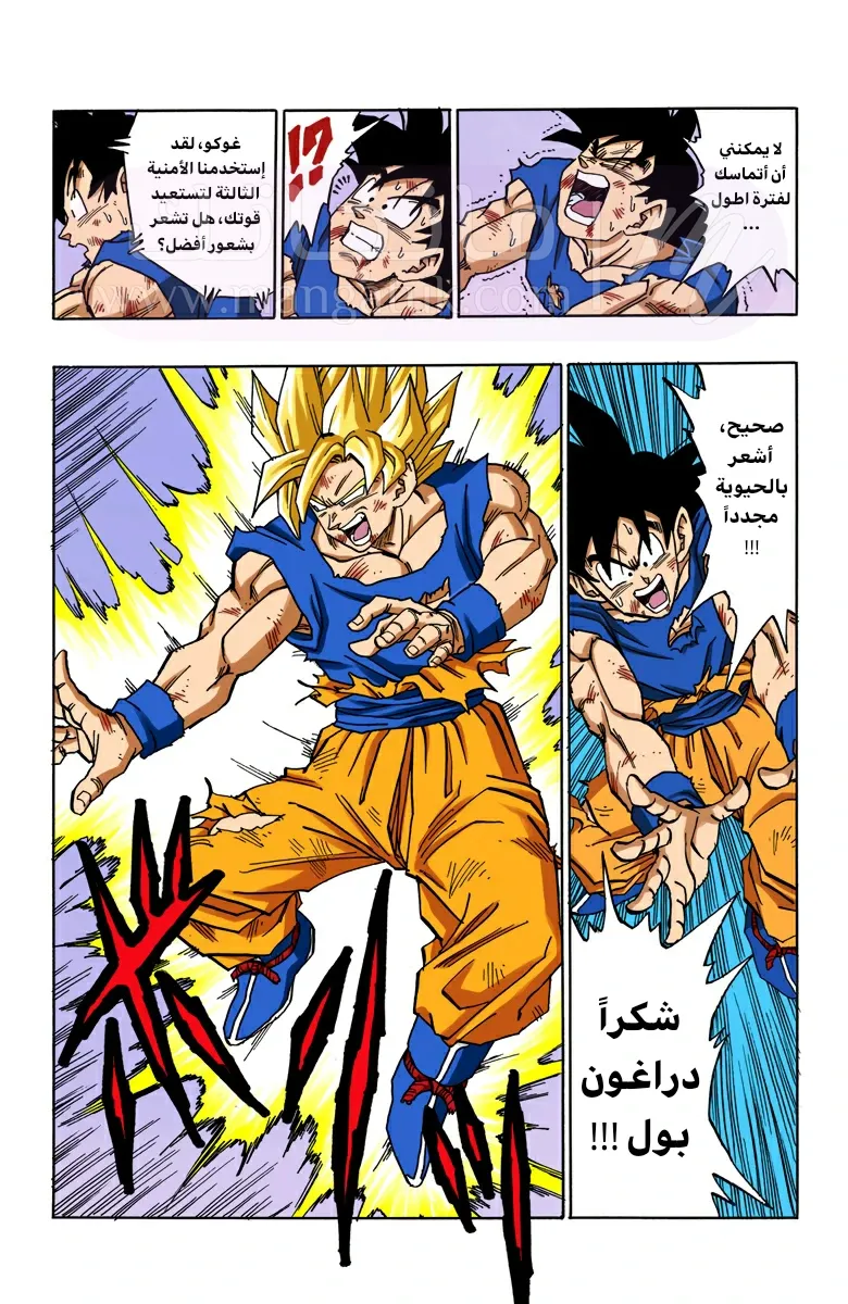 الصفحة 10