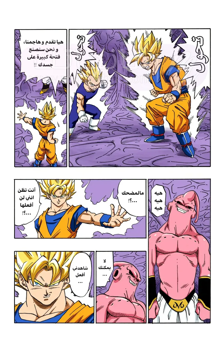 الصفحة 4