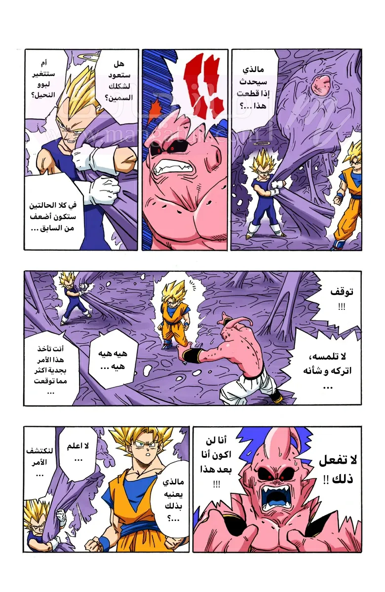 الصفحة 7