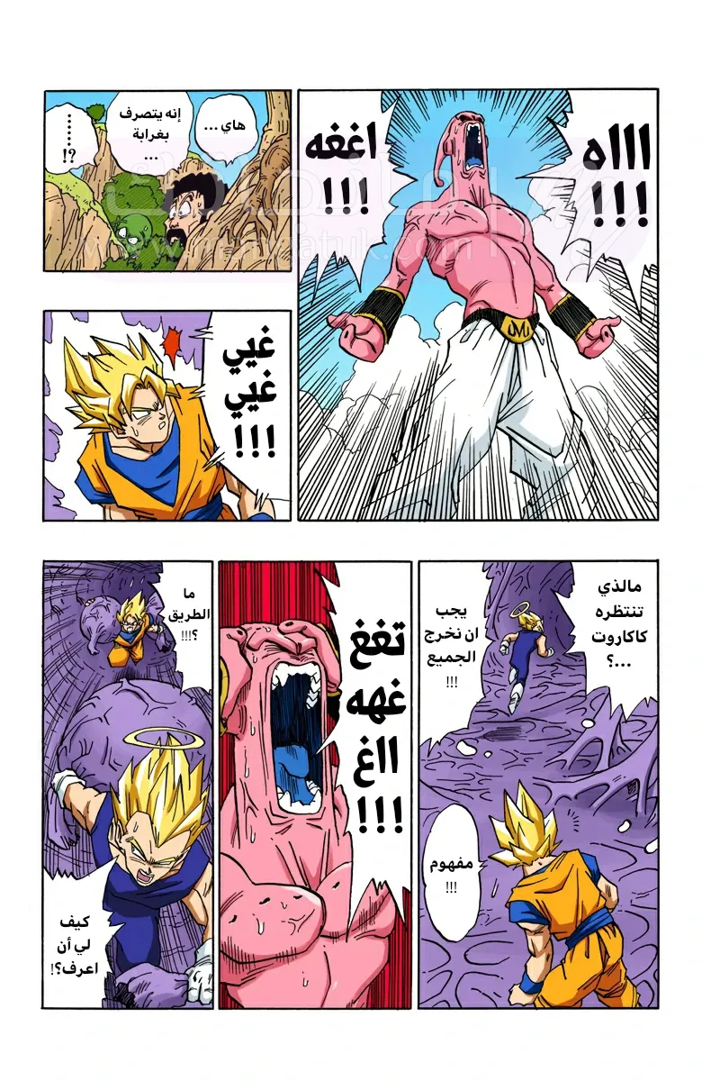الصفحة 10
