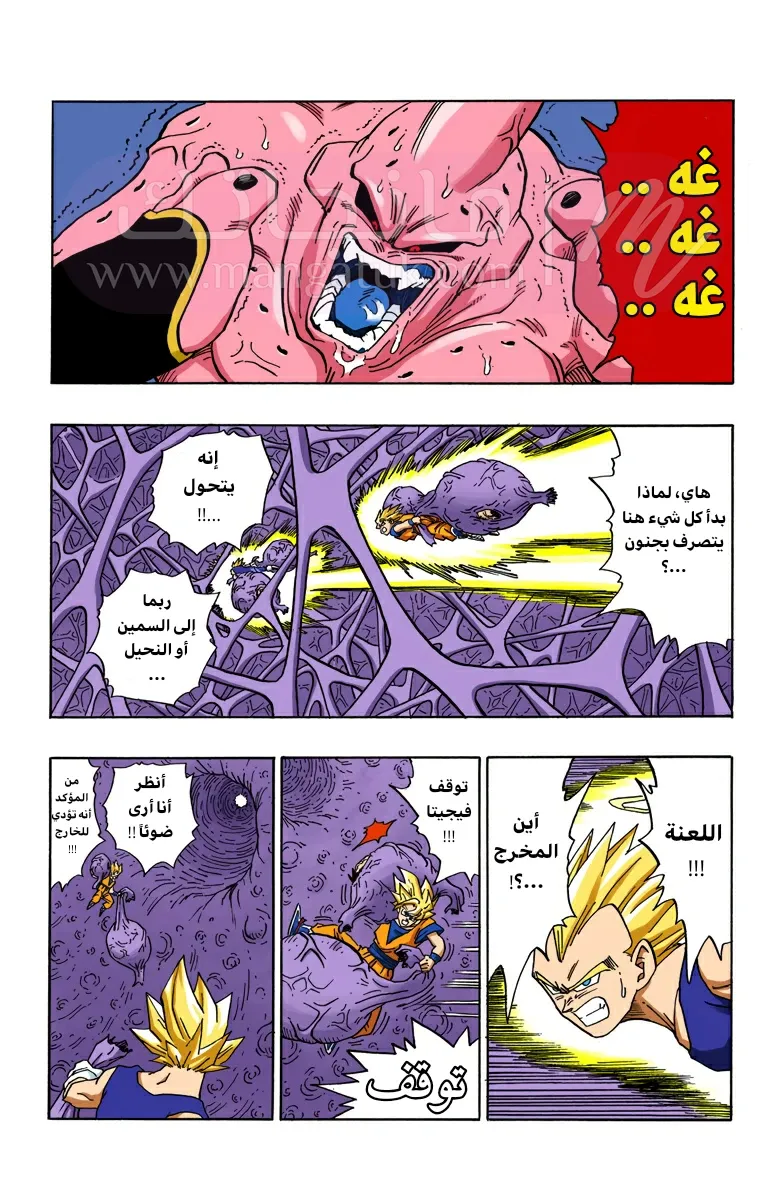 الصفحة 11