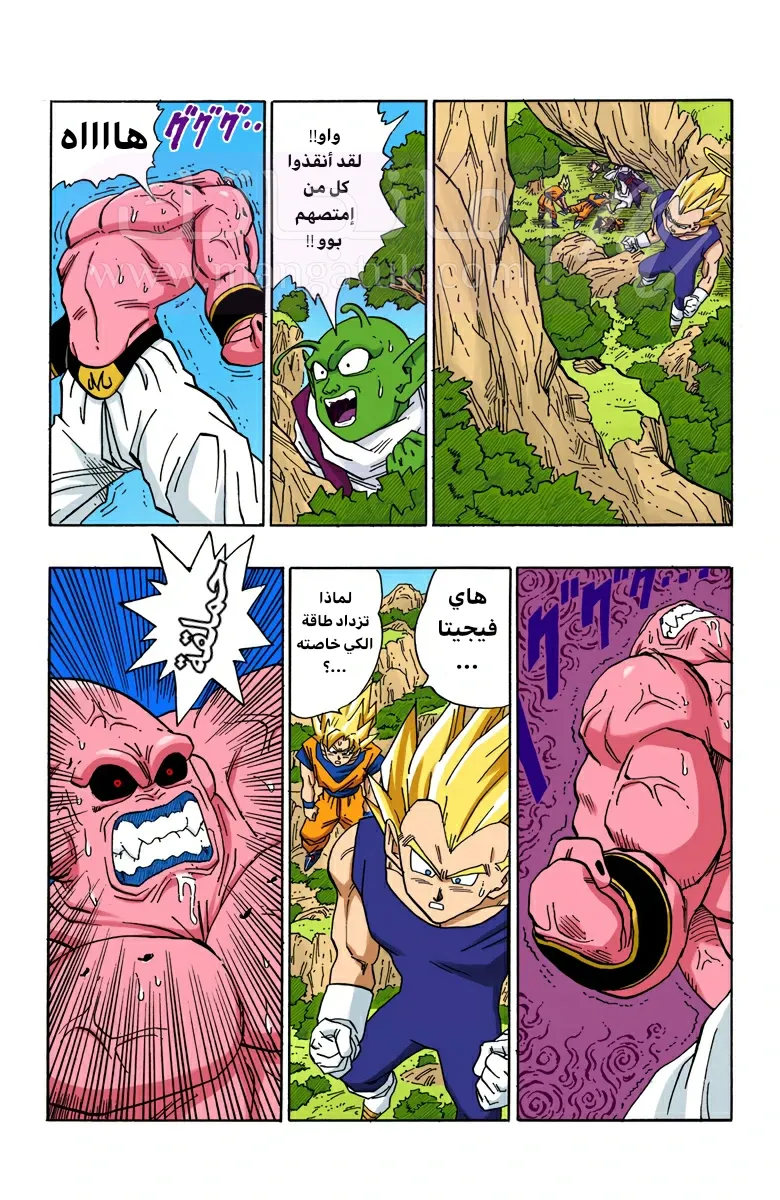 الصفحة 13