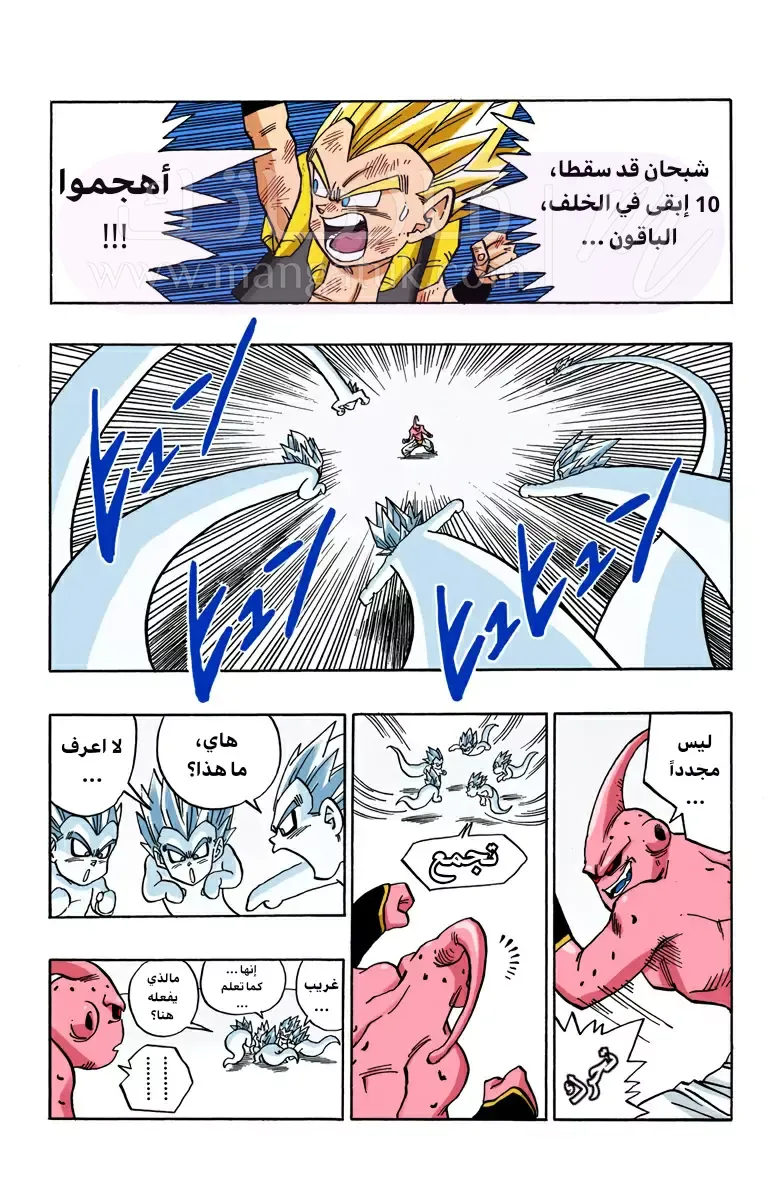 الصفحة 11
