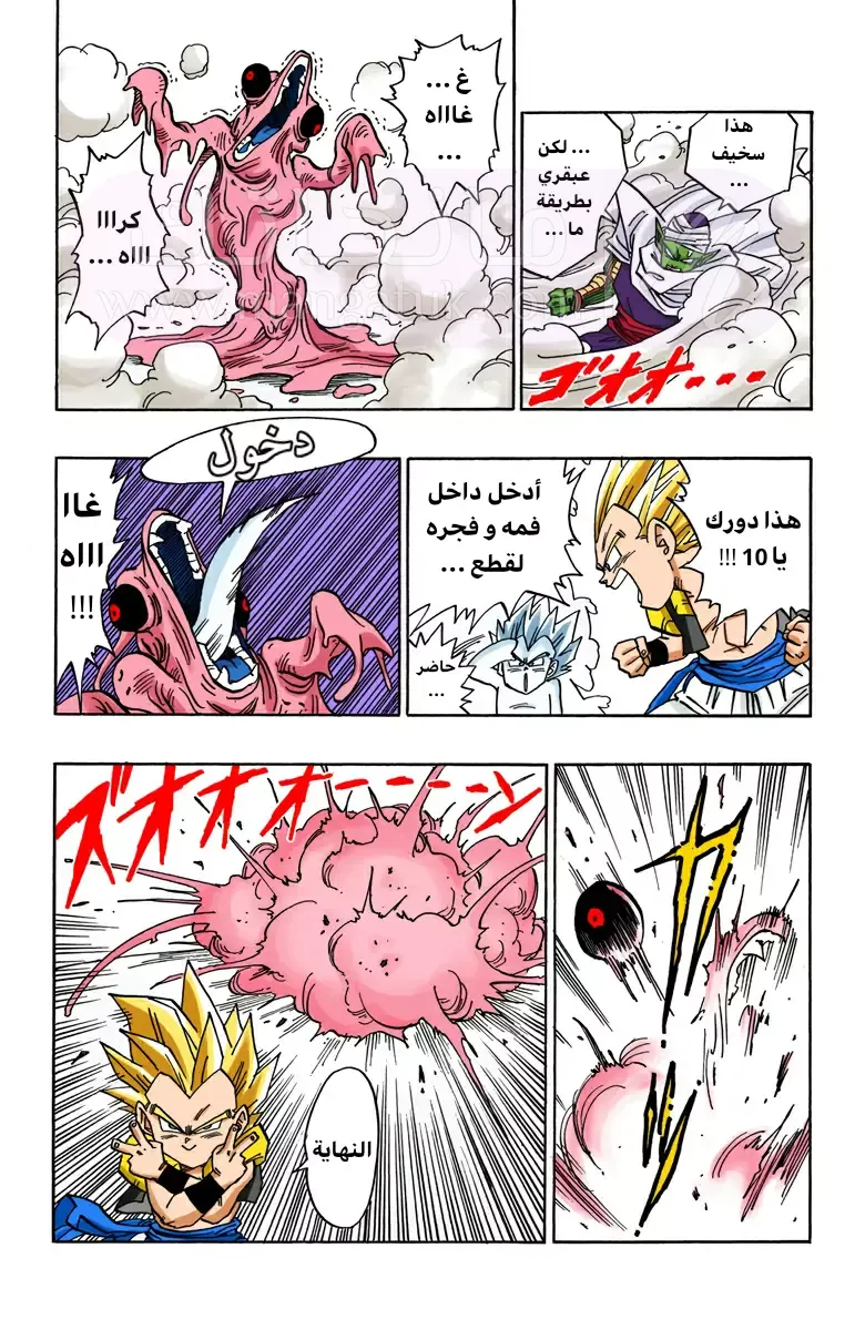الصفحة 13