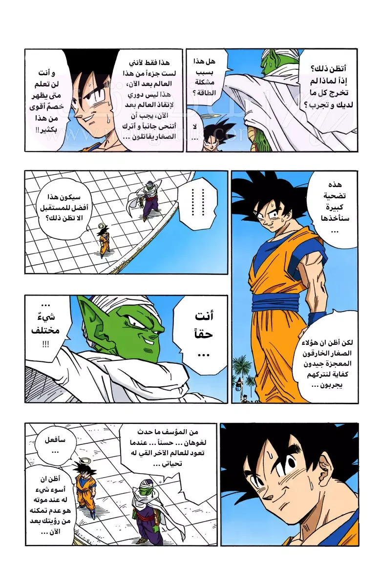 الصفحة 11