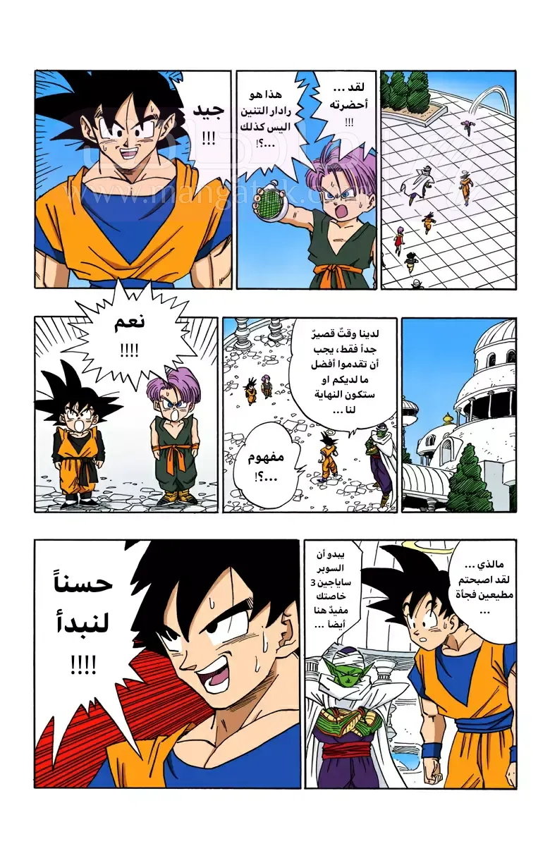 الصفحة 13
