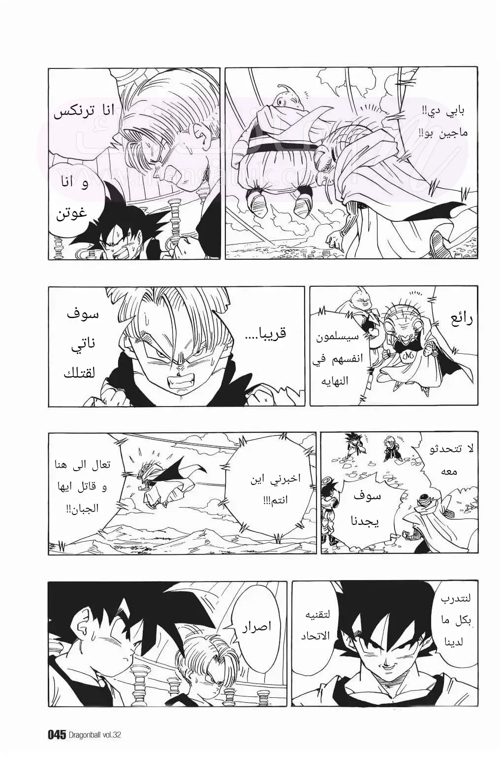 الصفحة 13