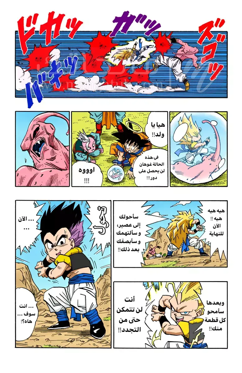 الصفحة 13