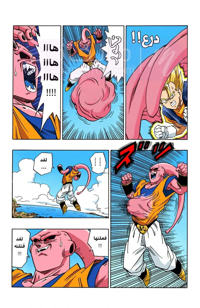 الصفحة 13