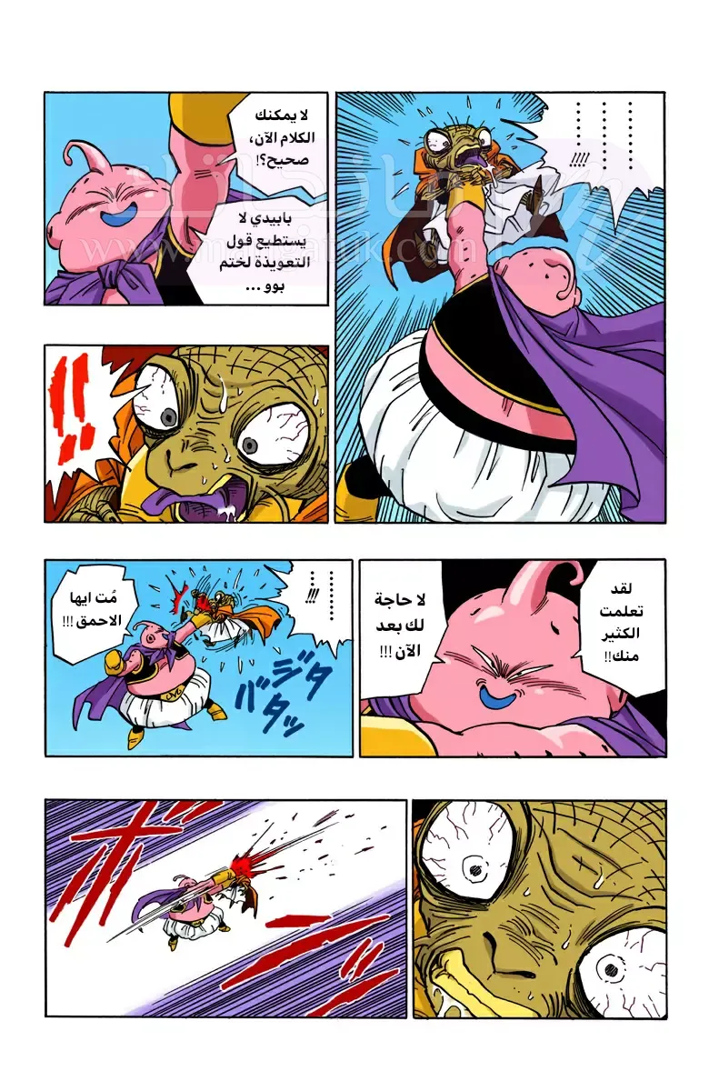 الصفحة 13