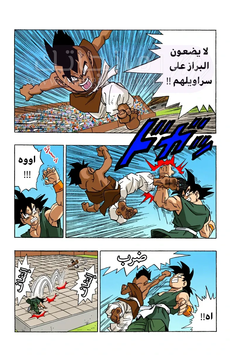الصفحة 11