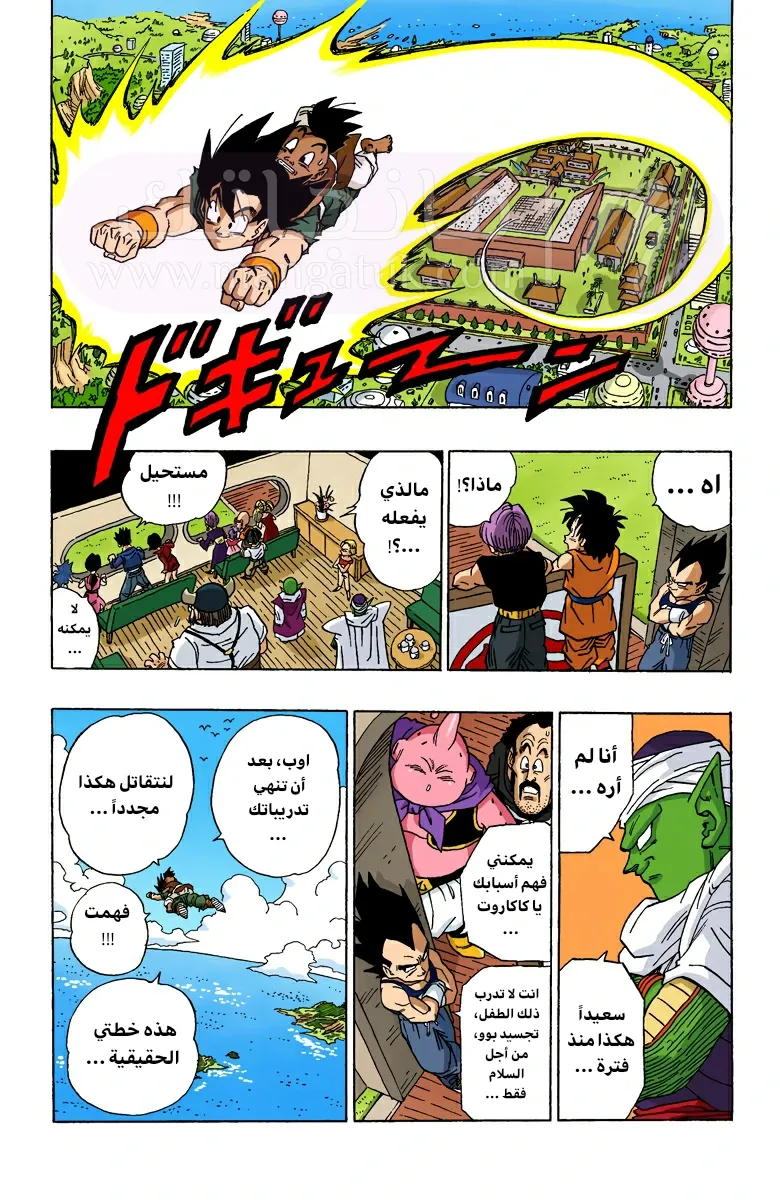 الصفحة 16