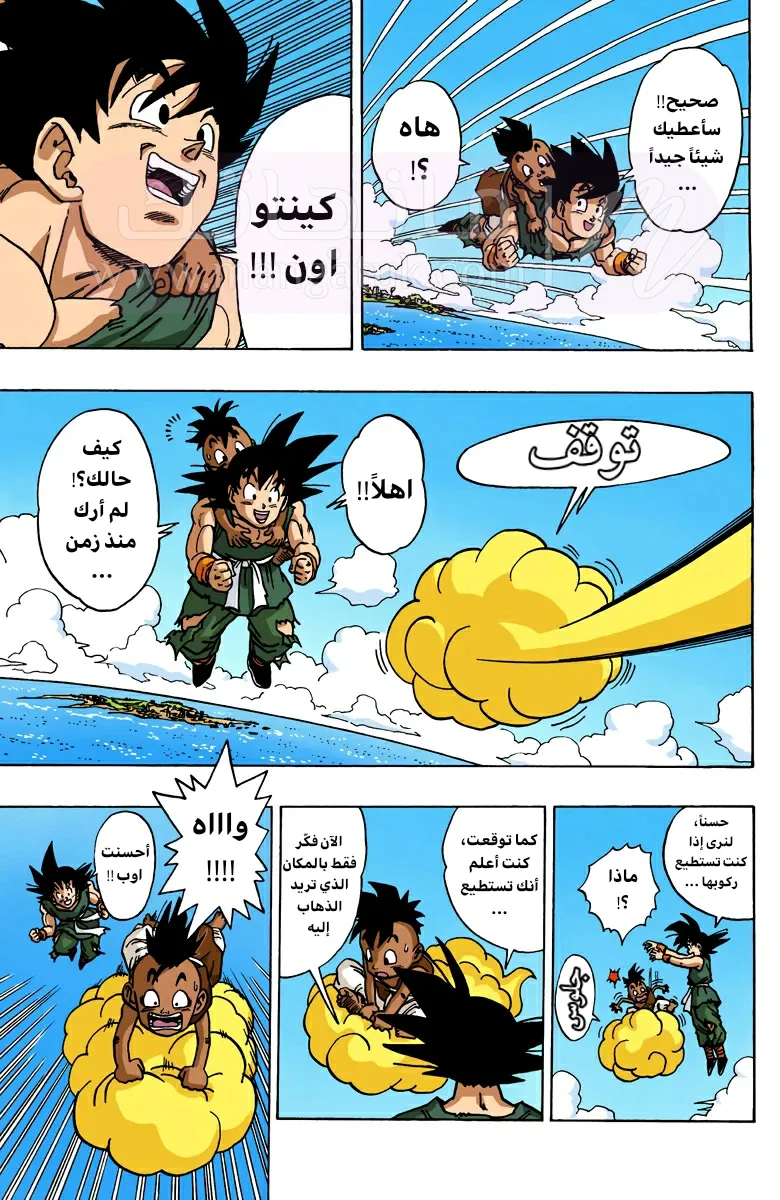 الصفحة 17