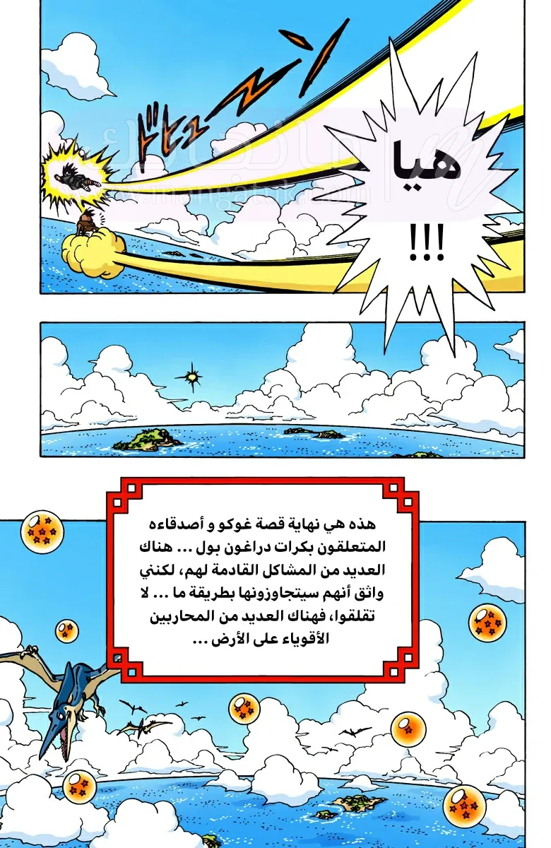 الصفحة 19