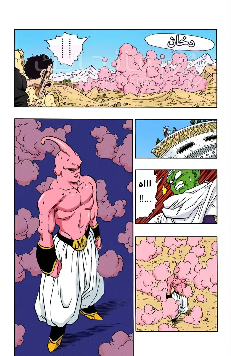 الصفحة 10