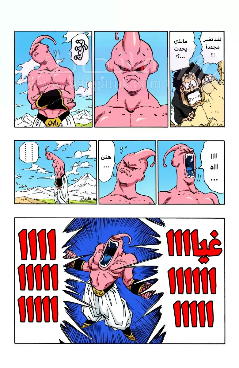 الصفحة 11