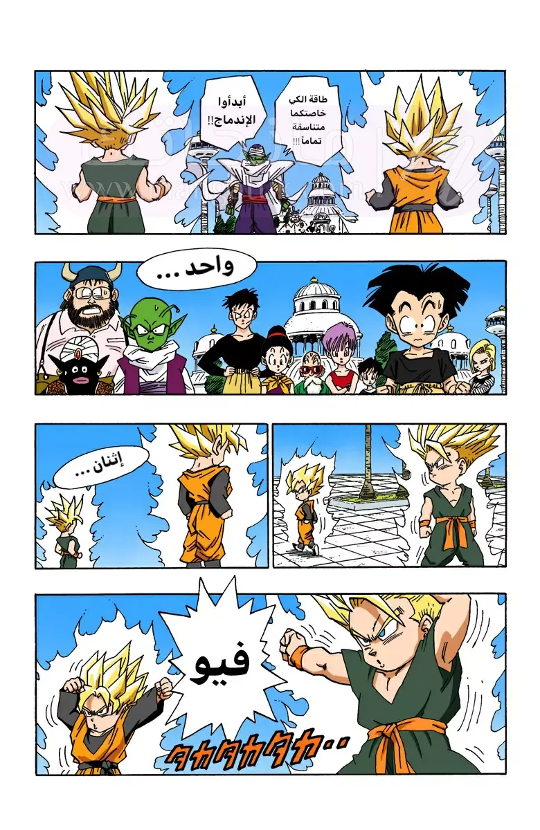 الصفحة 5