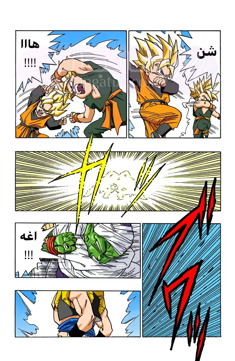 الصفحة 6