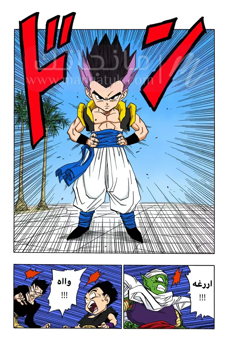 الصفحة 10