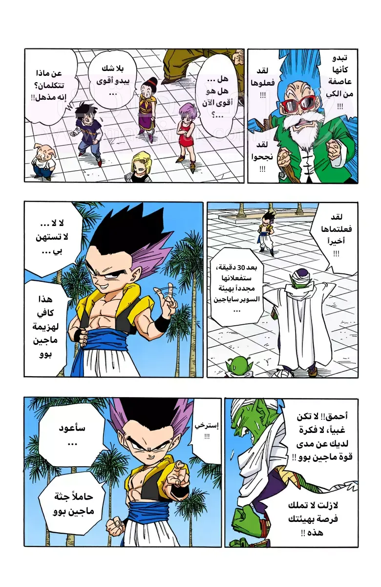 الصفحة 11