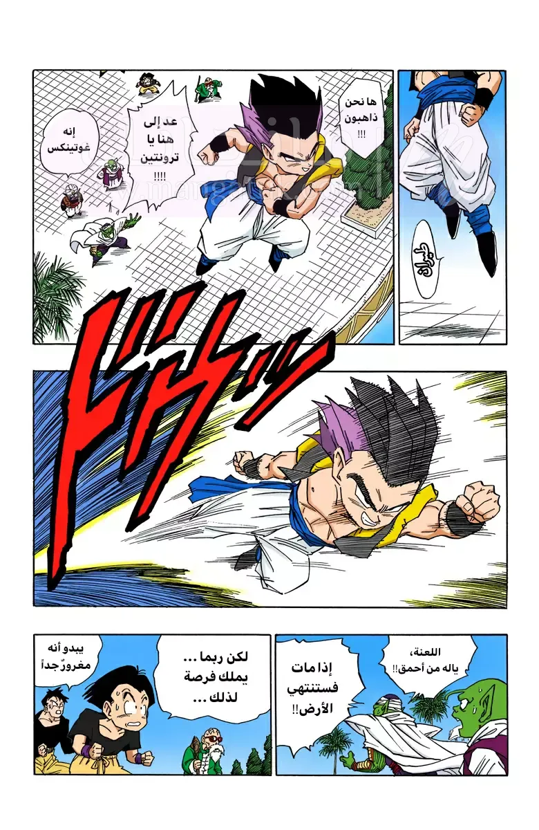 الصفحة 12