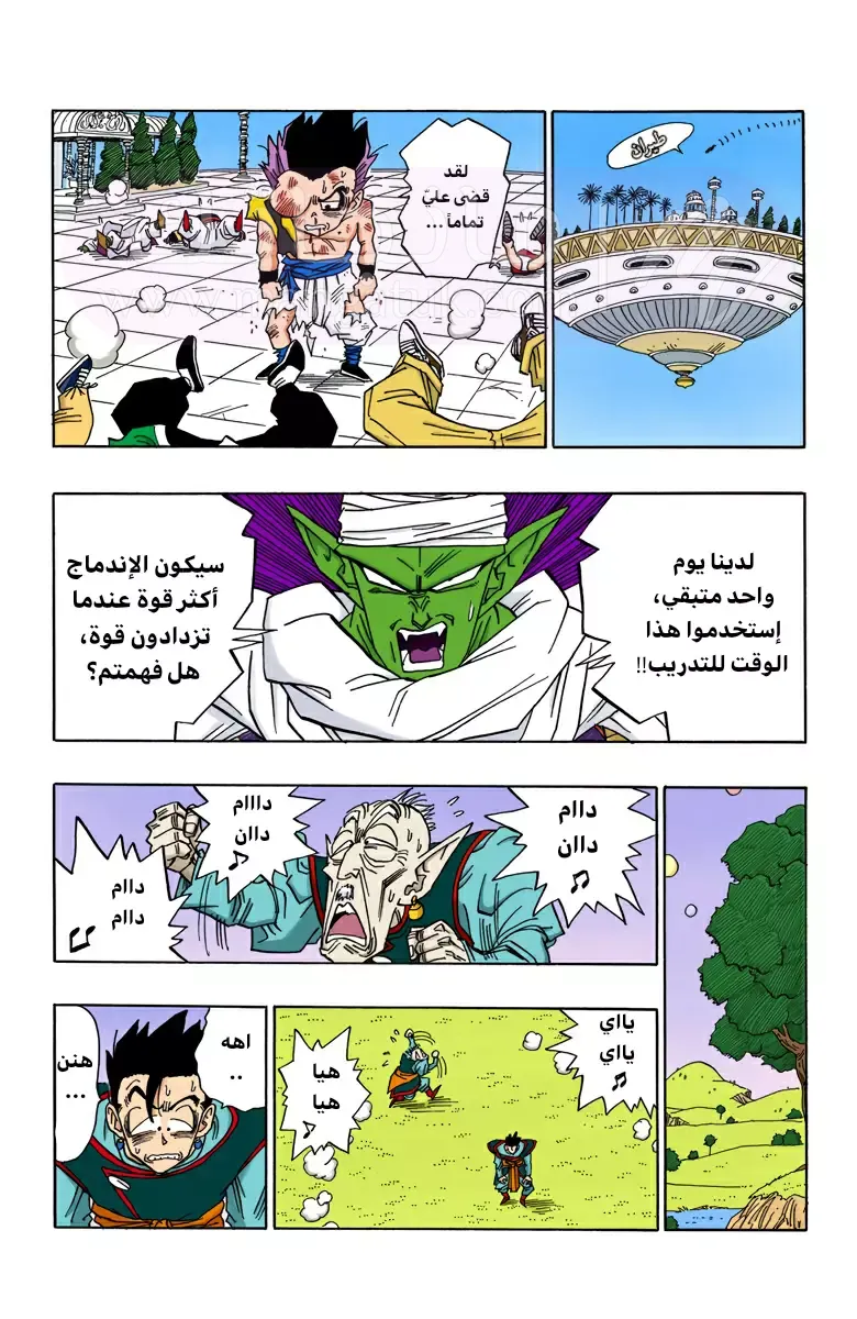 الصفحة 13
