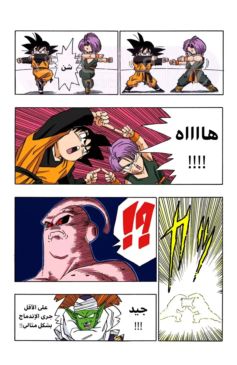 الصفحة 10
