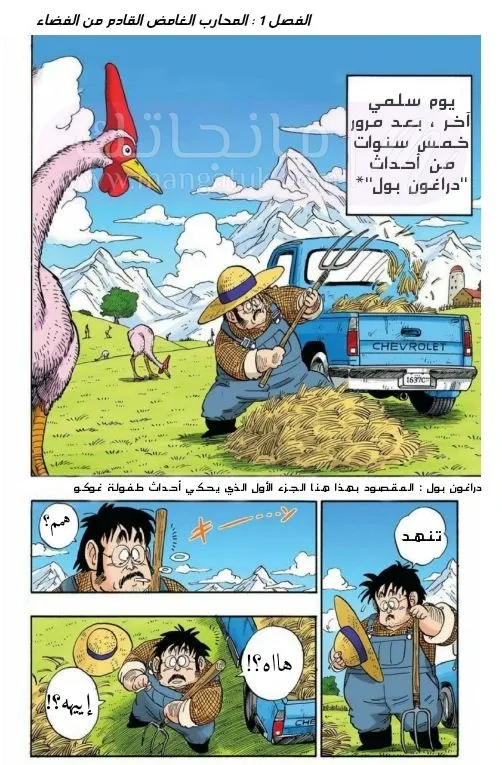 الصفحة 3