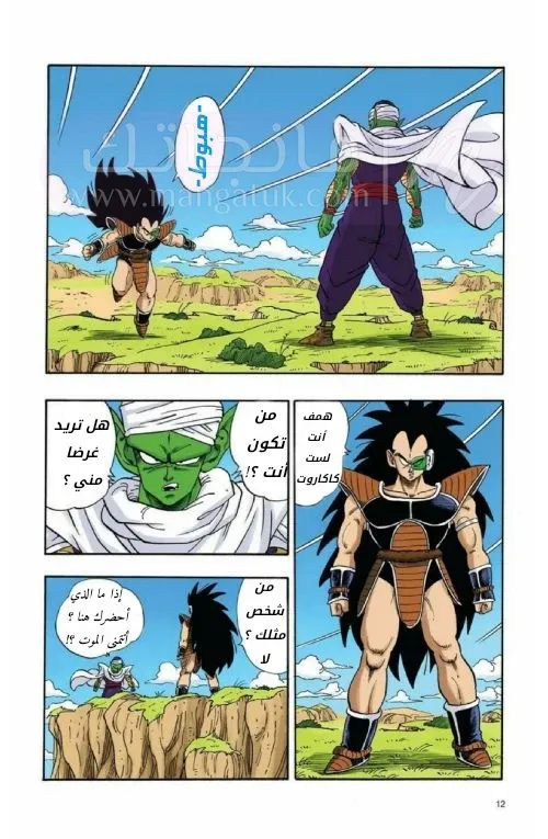 الصفحة 11