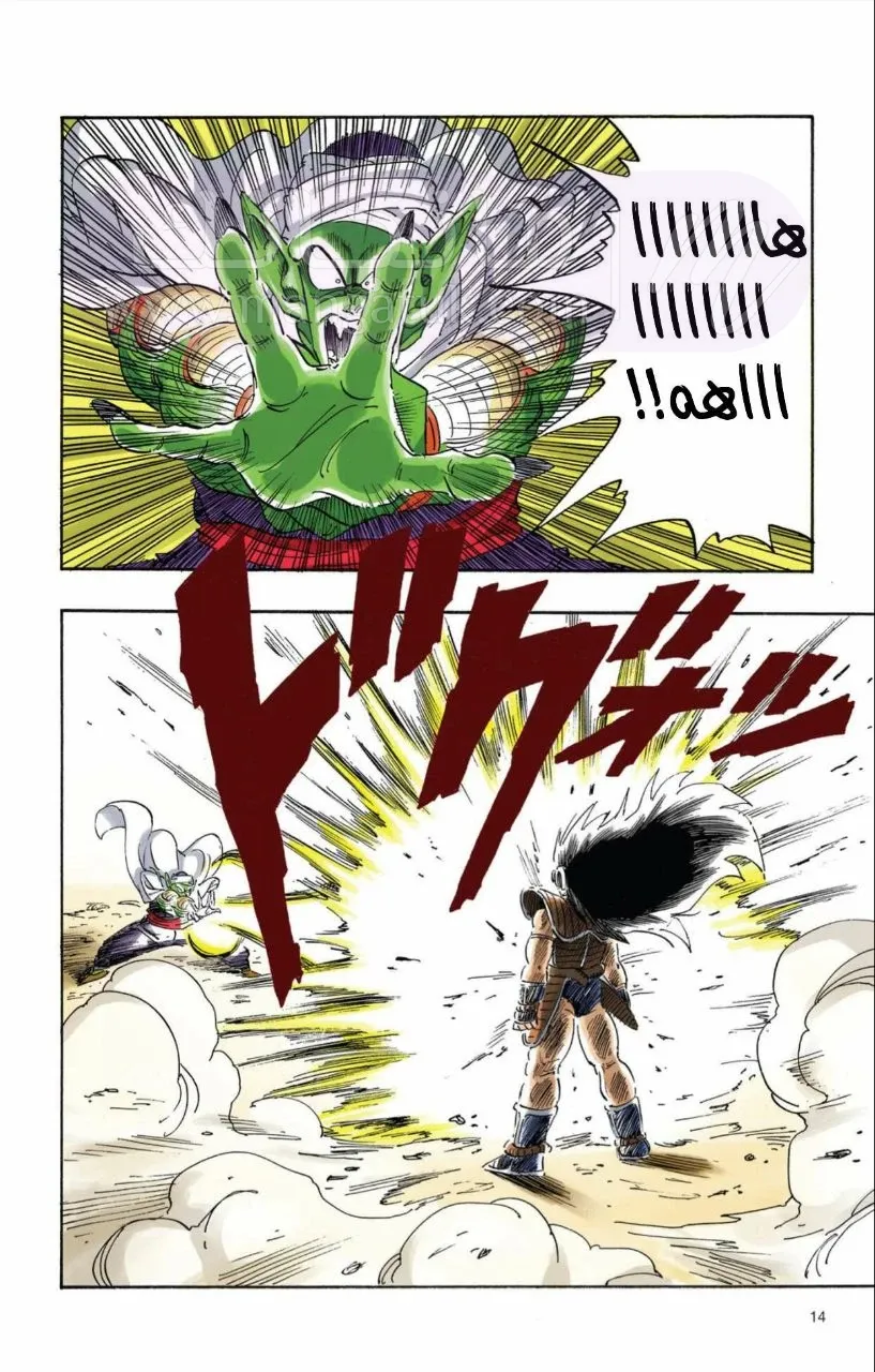الصفحة 13