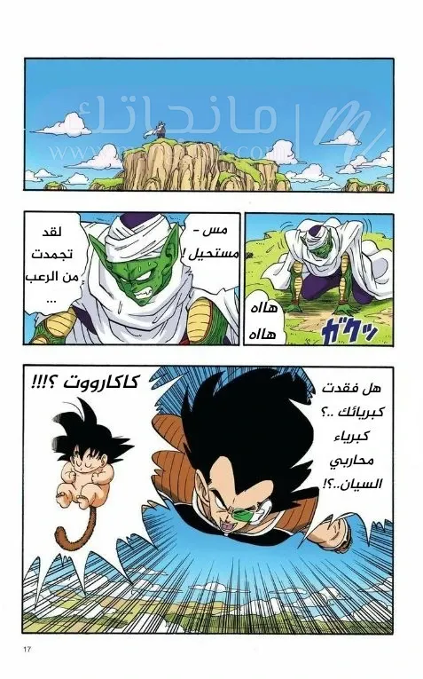الصفحة 16