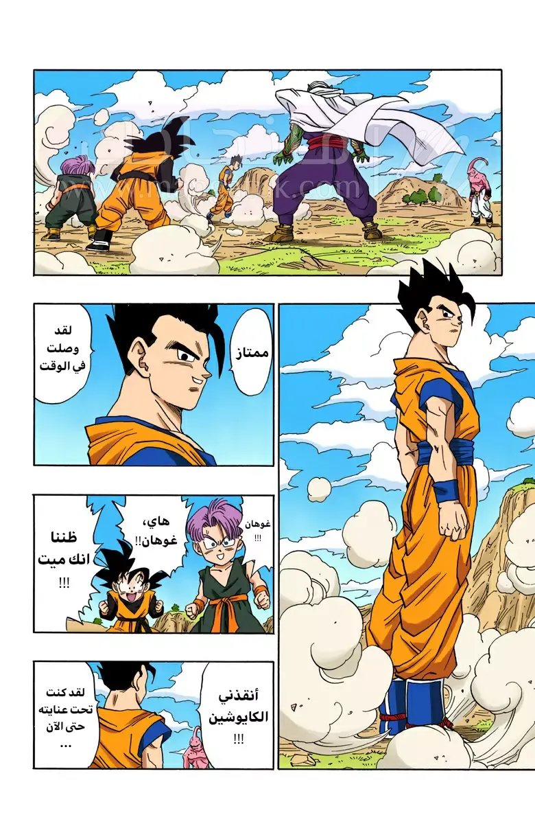 الصفحة 3