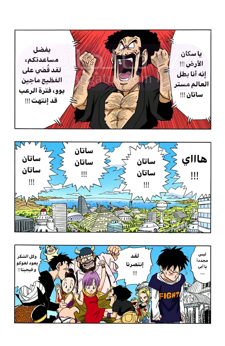 الصفحة 3