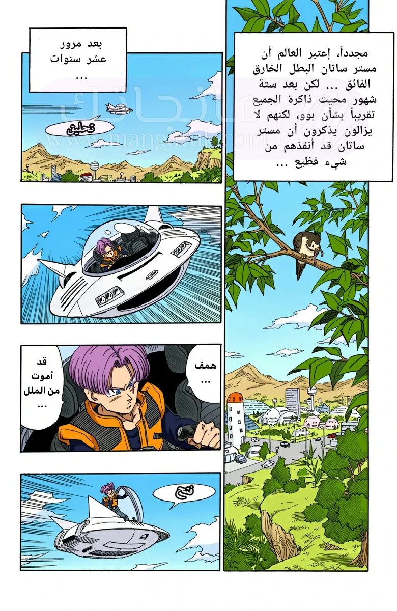 الصفحة 12