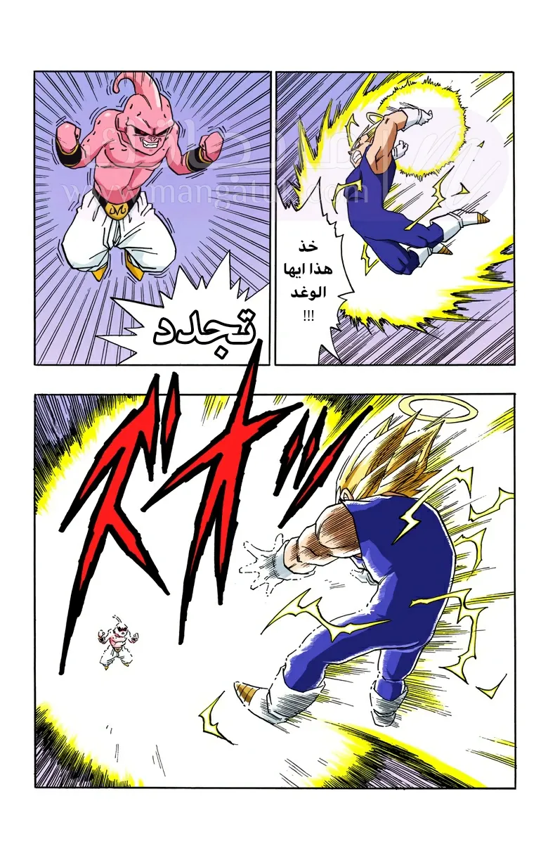 الصفحة 3
