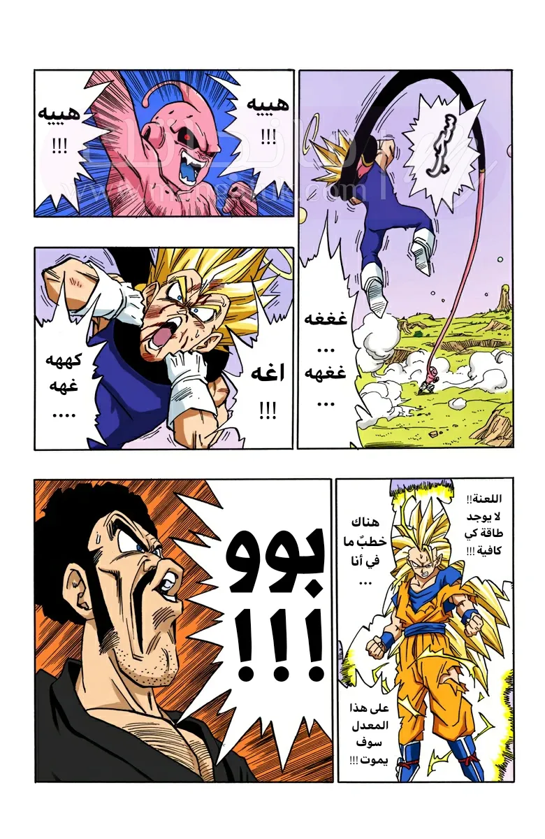 الصفحة 10