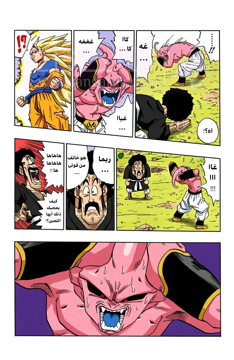 الصفحة 13