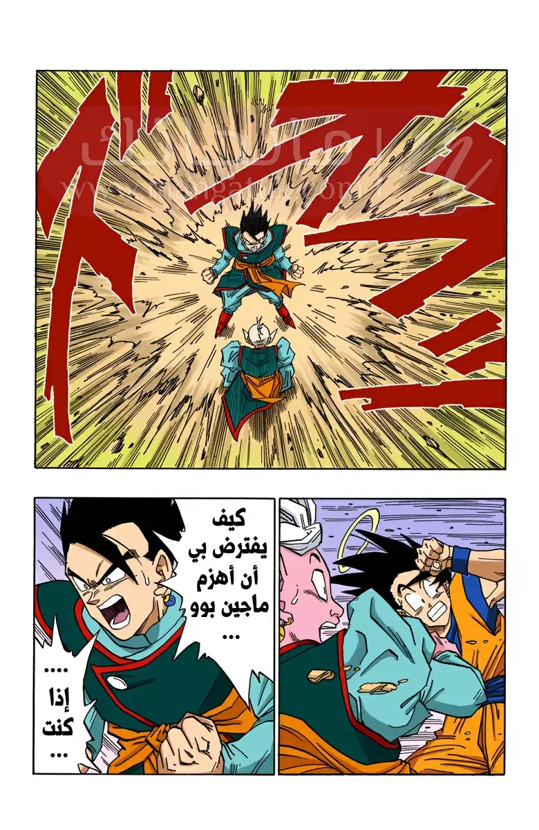 الصفحة 3