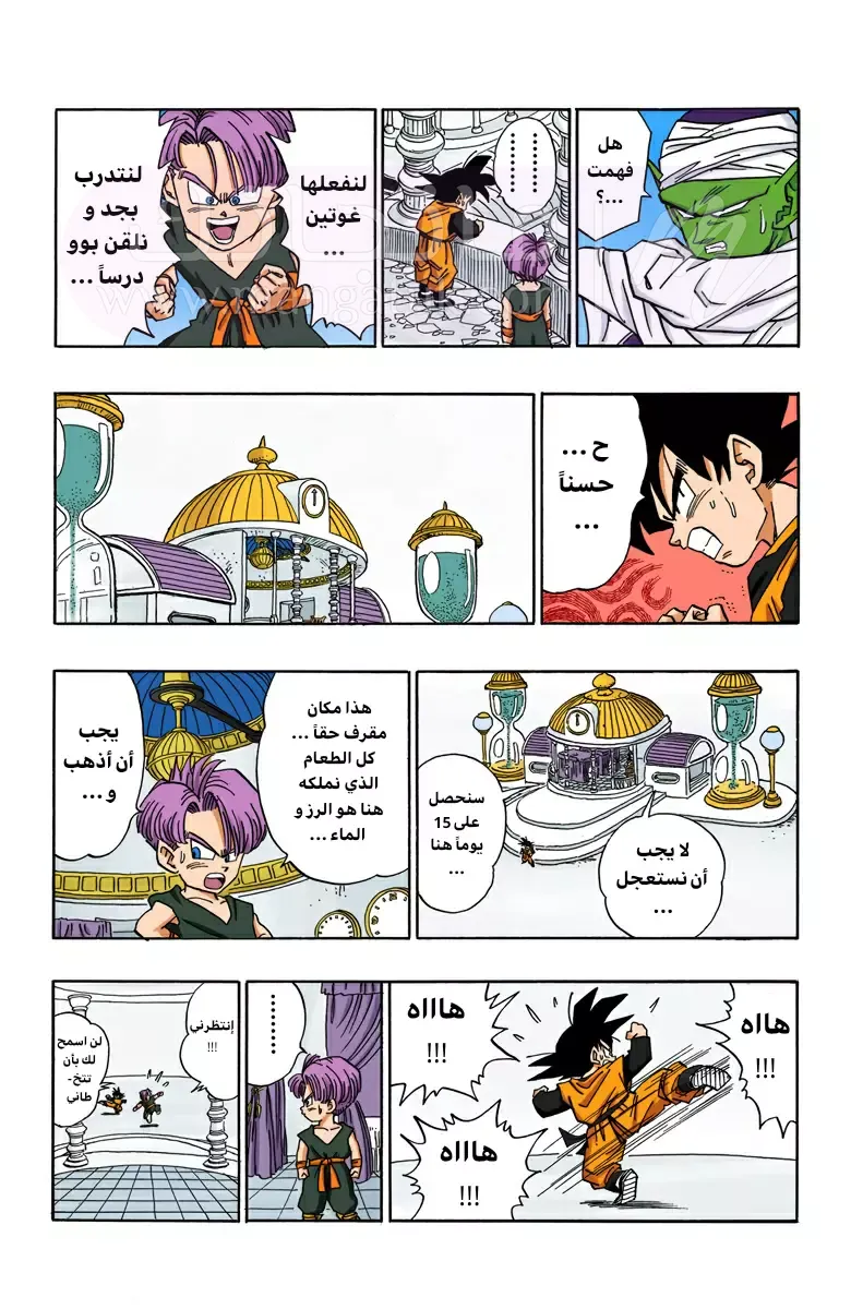 الصفحة 8