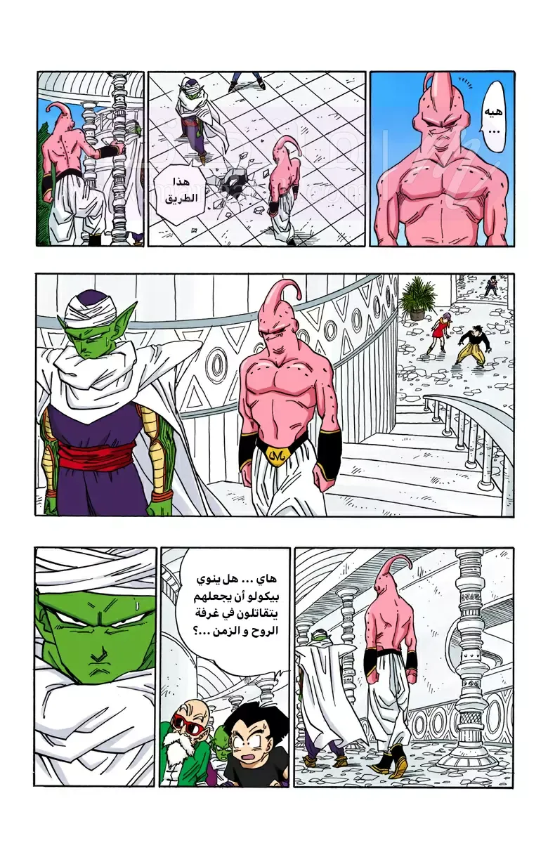 الصفحة 13
