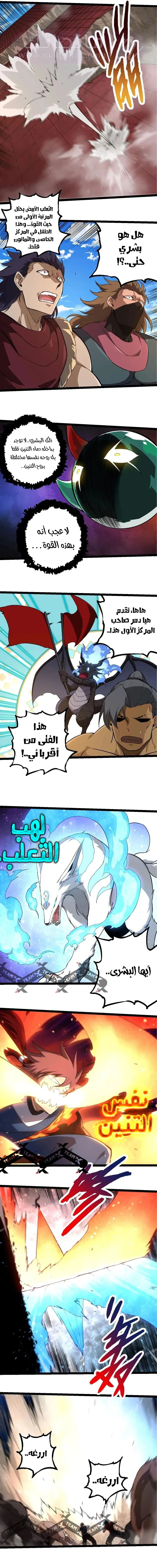 الصفحة 5