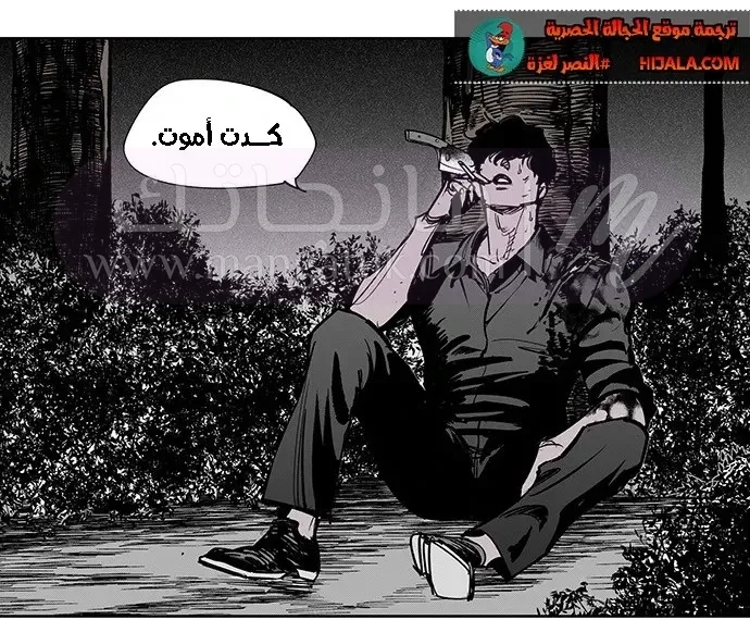 الصفحة 12