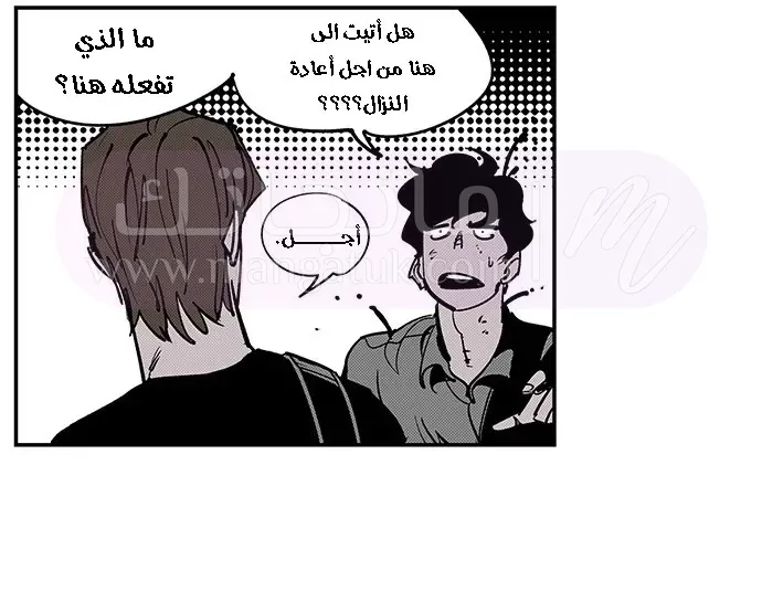الصفحة 21