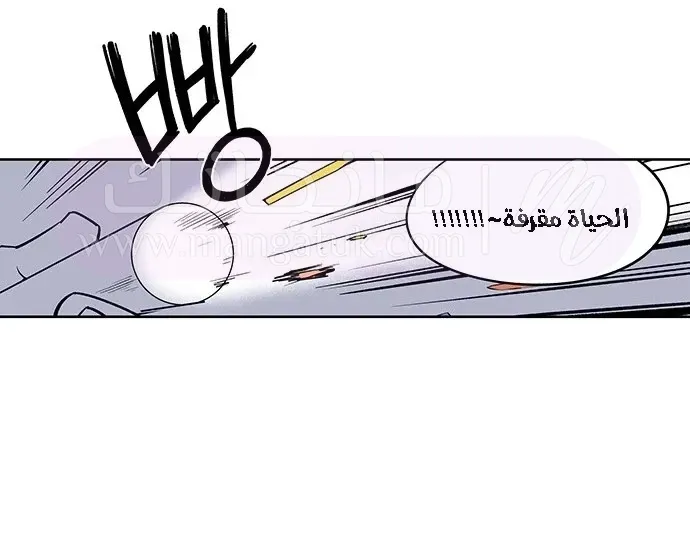 الصفحة 25