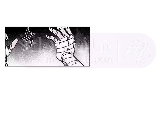 الصفحة 37