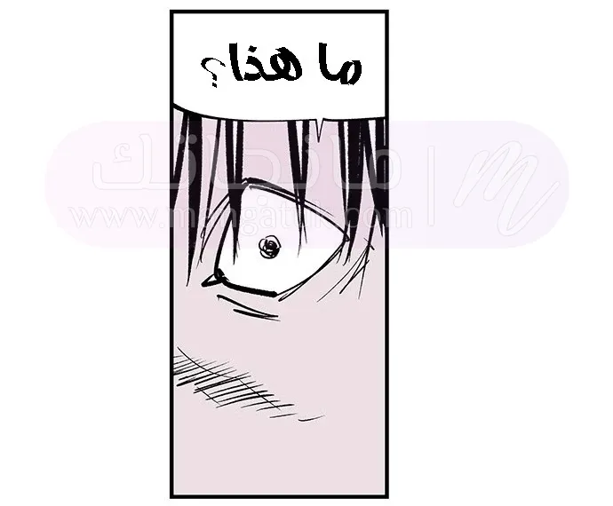 الصفحة 22