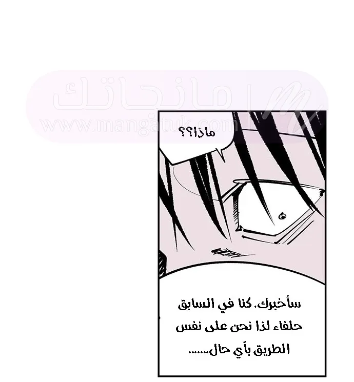 الصفحة 29