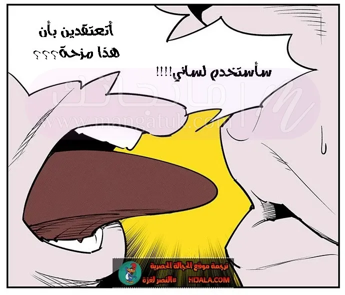 الصفحة 29