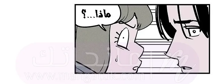 الصفحة 46